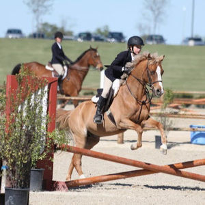 Meet your Posher, Presley